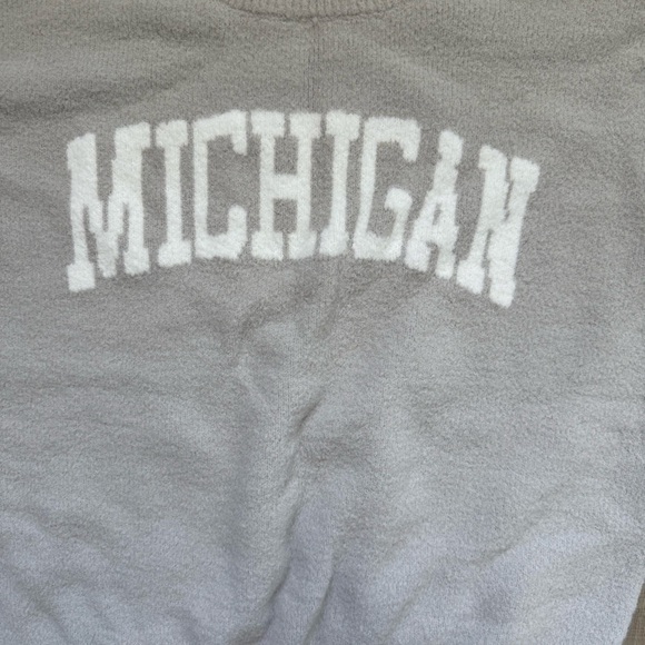 Thread & Supply Light Gray White Crewneck Sweater - Michigan - Picture 3 of 6